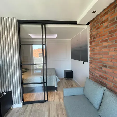 Ekskluzywny W Centrum Gdanska 公寓 格但斯克